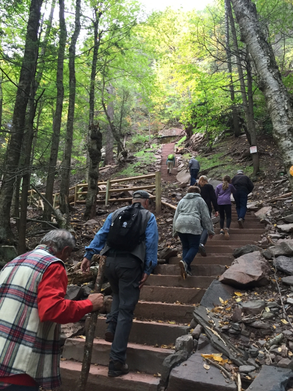 Stairs at Kaaterskill Falls